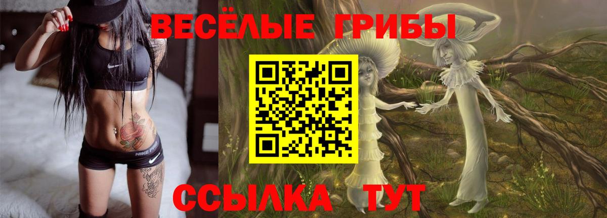 Шадринск  Галлюциногенные грибы Psilocybine cubensis  Вход с VPN  что такое   Псилоцибиновые грибы ЛСД 