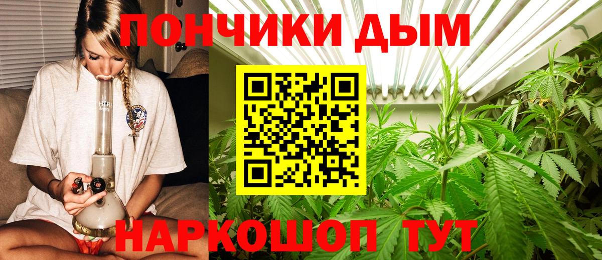 Марихуана план  Каннабис план  Вход с VPN  Шадринск  Бошки Шишки сатива 